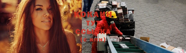 стафф Алзамай