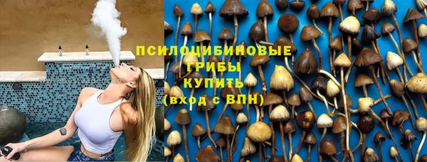 стафф Алзамай