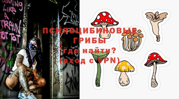 крисы Абаза