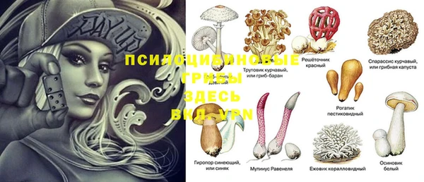 ГАЛЛЮЦИНОГЕННЫЕ ГРИБЫ Алексеевка