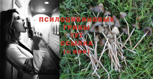 ГАЛЛЮЦИНОГЕННЫЕ ГРИБЫ Алексеевка