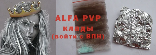 стафф Алзамай