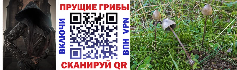 Галлюциногенные грибы мицелий  Сольвычегодск 
